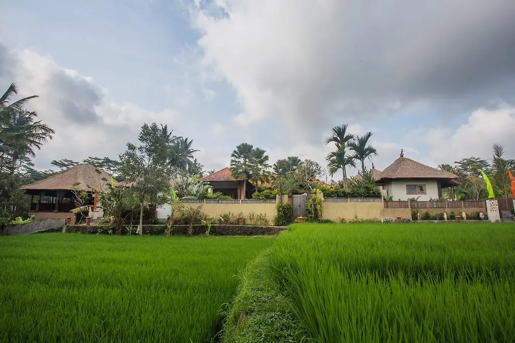 Ubud Luwih Nature Retreat-1